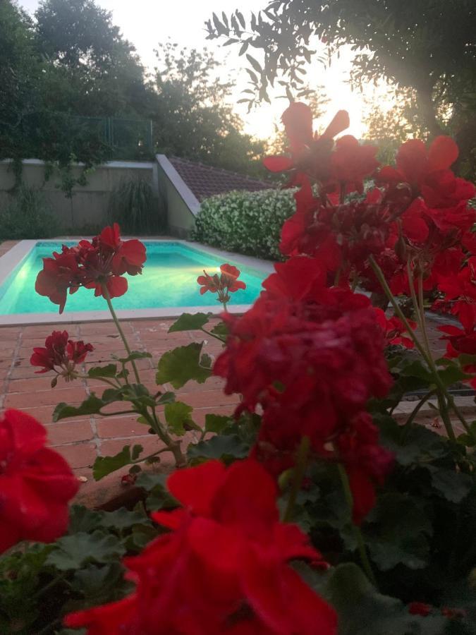Villa Aya - With Sauna And Outdoor Swimming Pool โมสตาร์ ภายนอก รูปภาพ